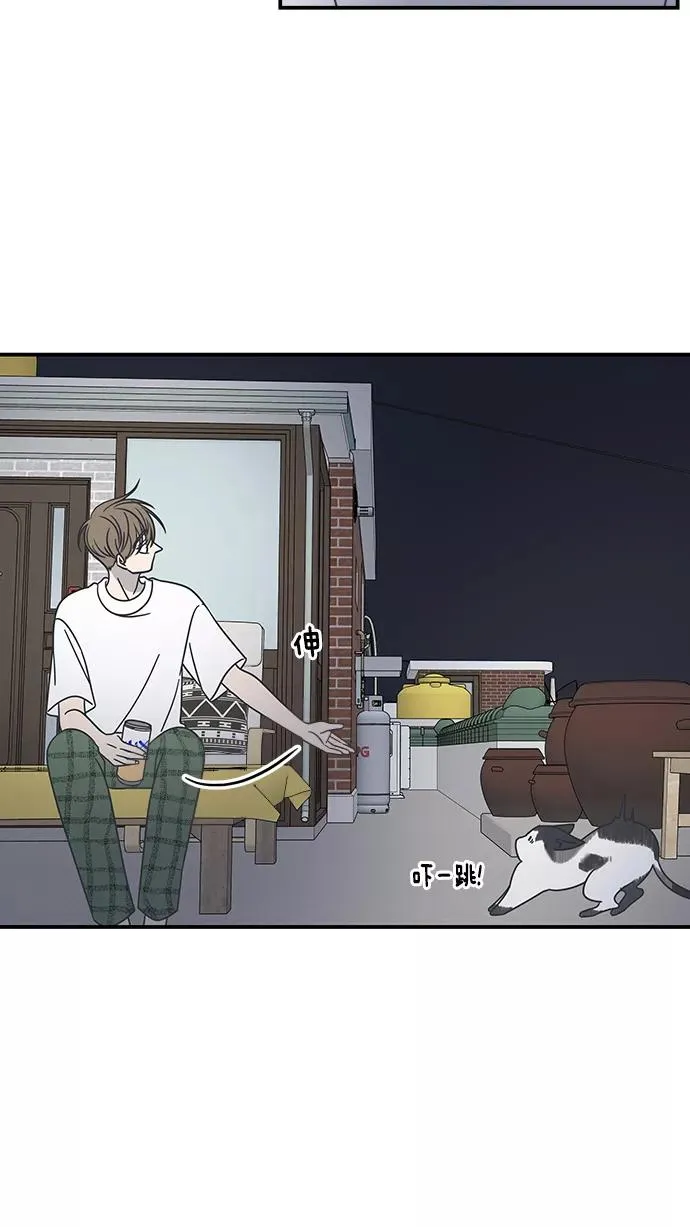 第54话 第20页