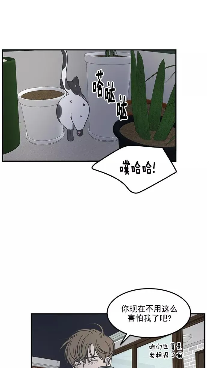 第54话 第21页