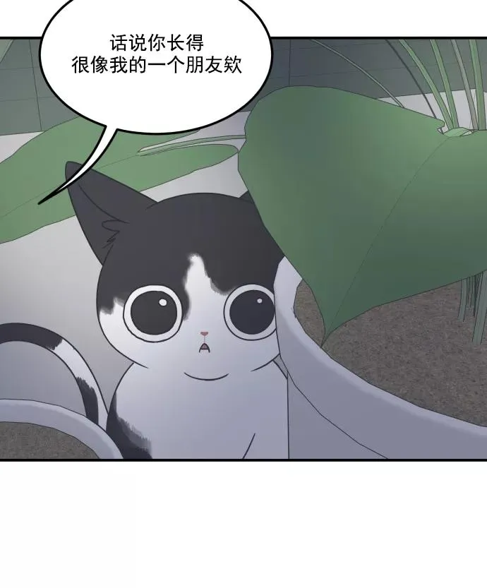 第54话 第23页