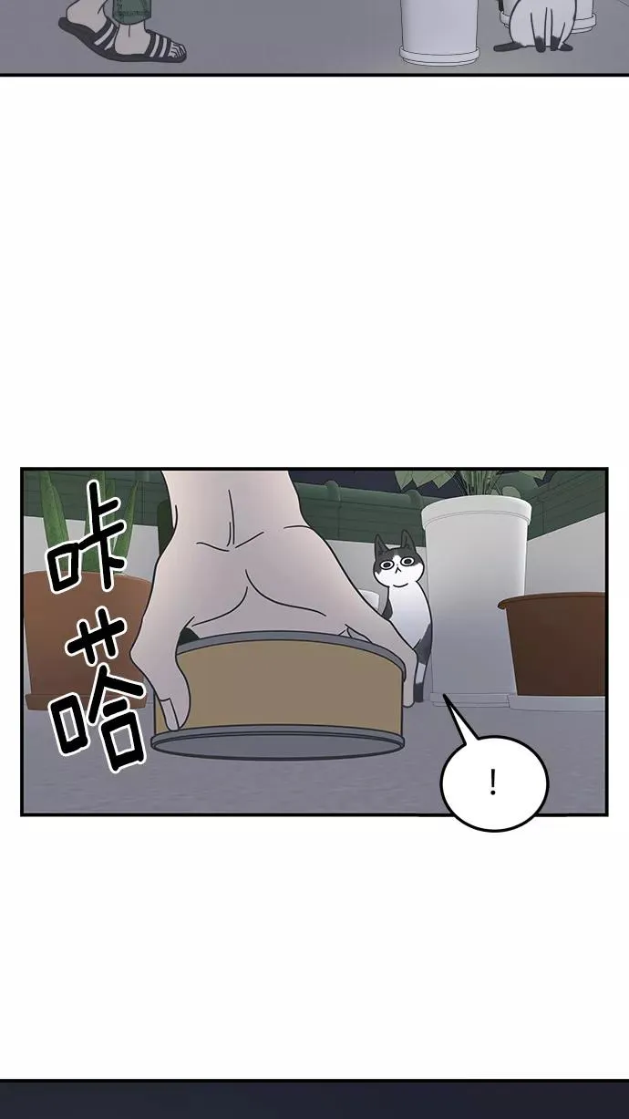 第54话 第32页
