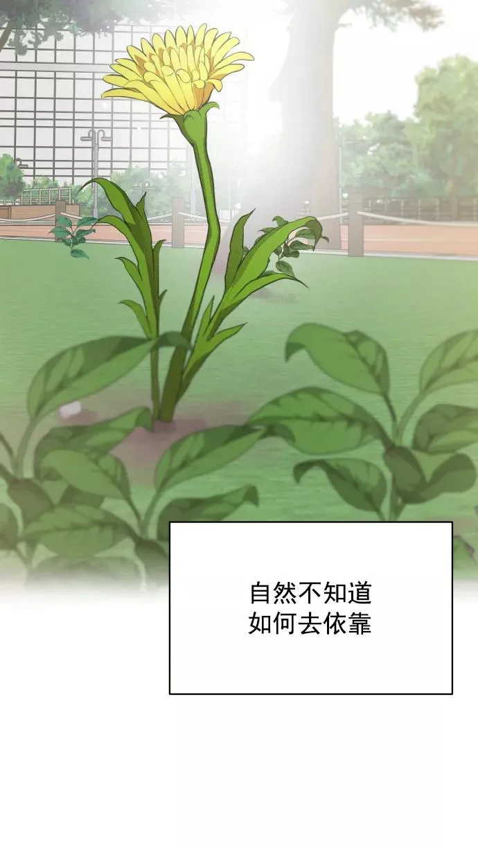第131话 第71页