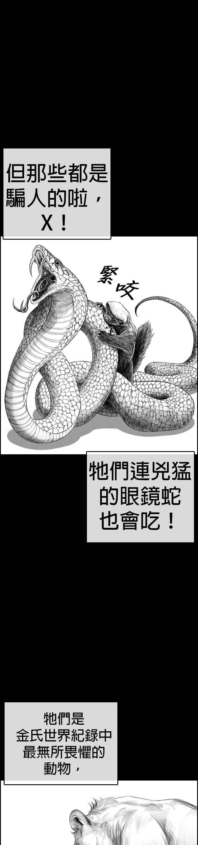 [第4话] 看我的…勒紧！ 第2页