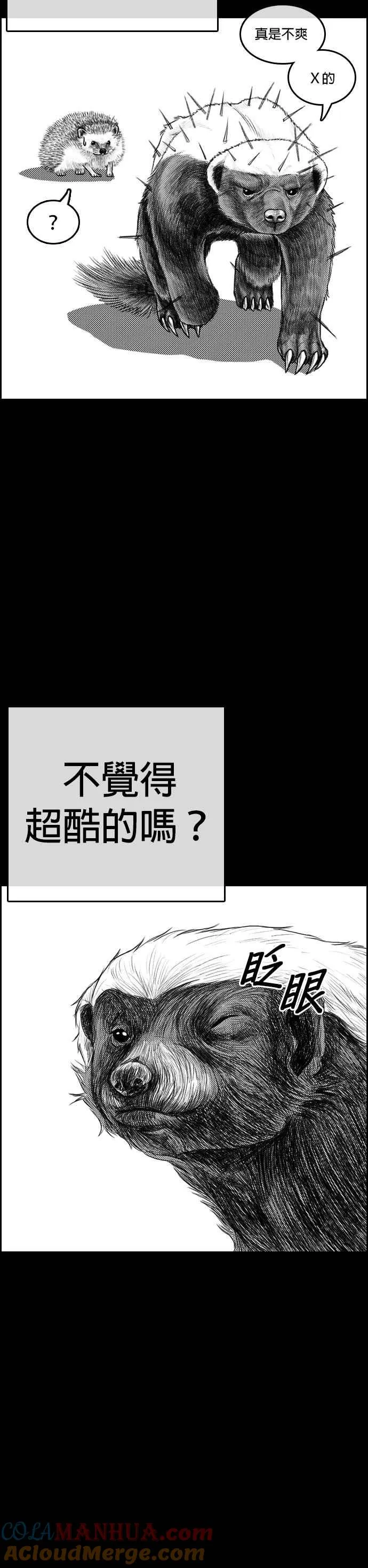 [第4话] 看我的…勒紧！ 第4页