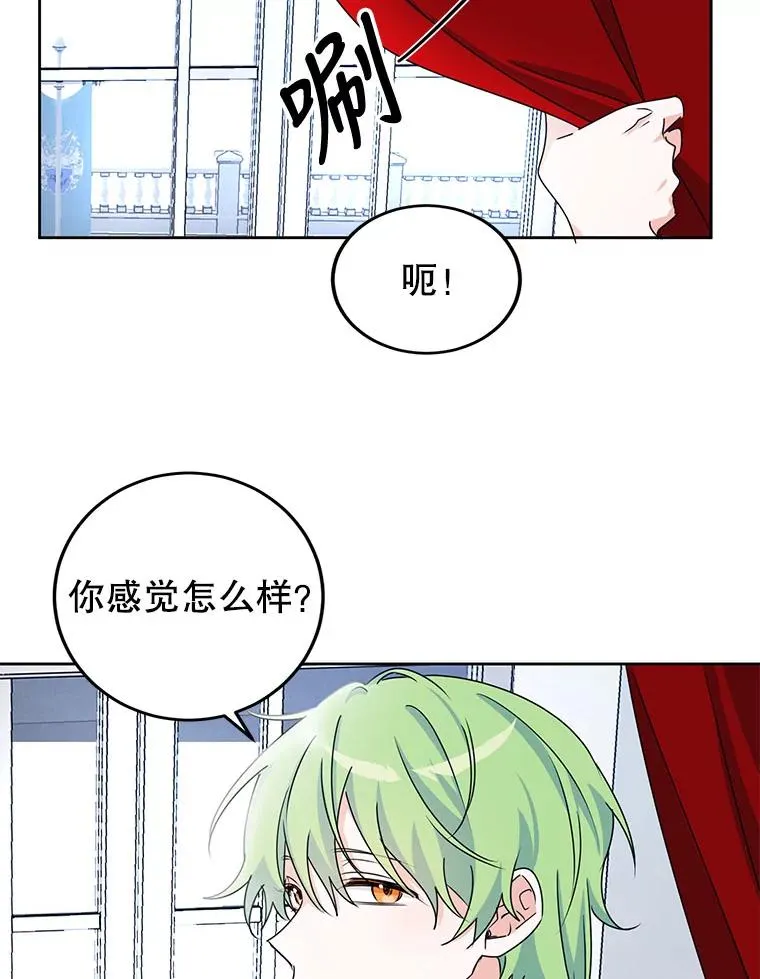 4.我是他的伴侣？ 第35页