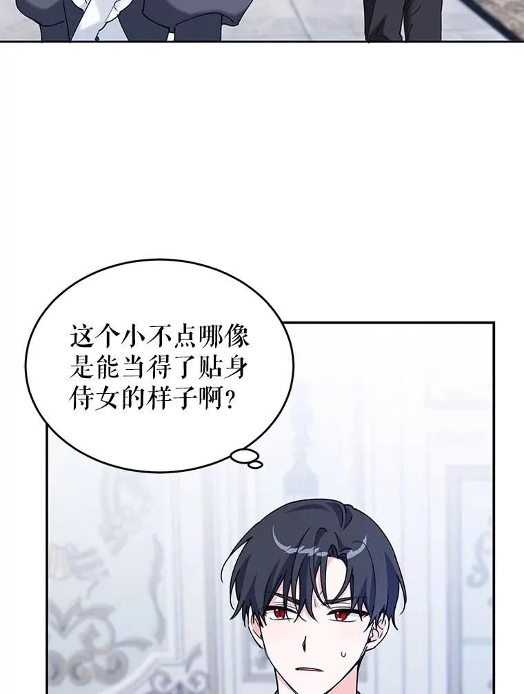 7.贴身侍女不好当 第30页