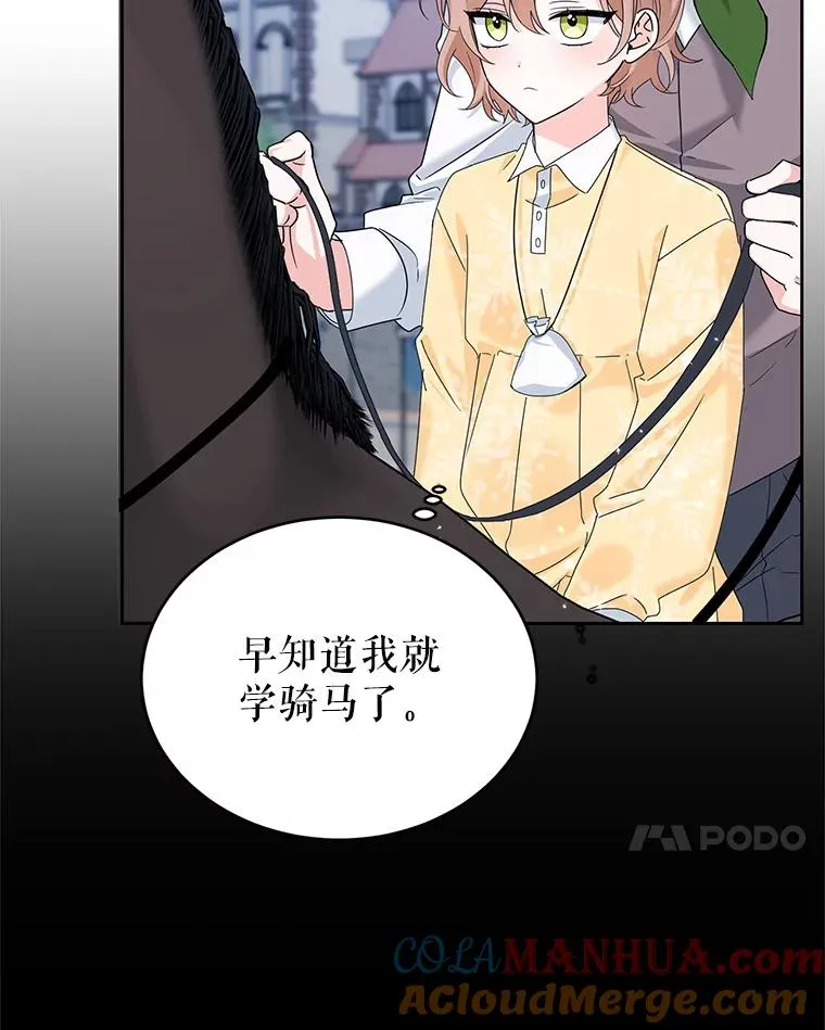 9.早知道就学骑马了 第21页