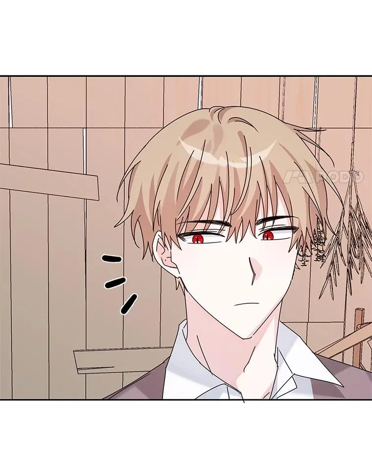 9.早知道就学骑马了 第92页