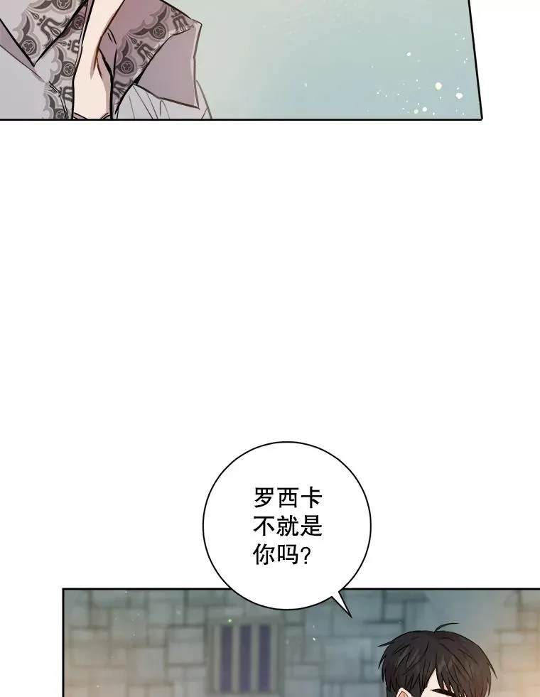 17.计划举行派对 第76页