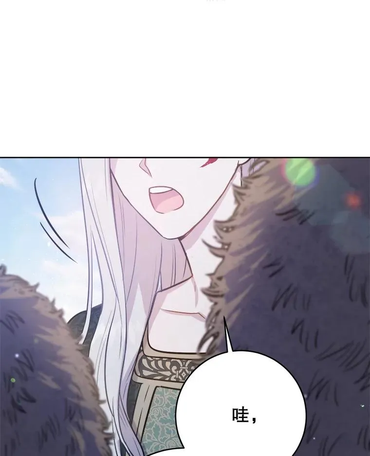 19.拉维塔队伍的到来 第46页