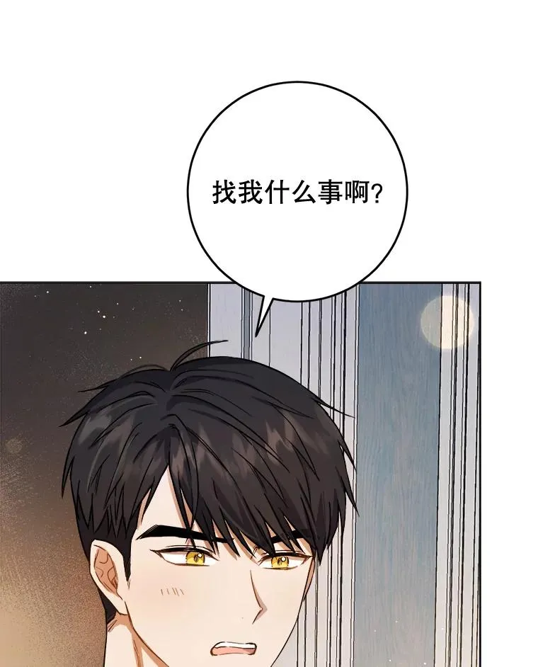 33.我不会再输第二次 第74页