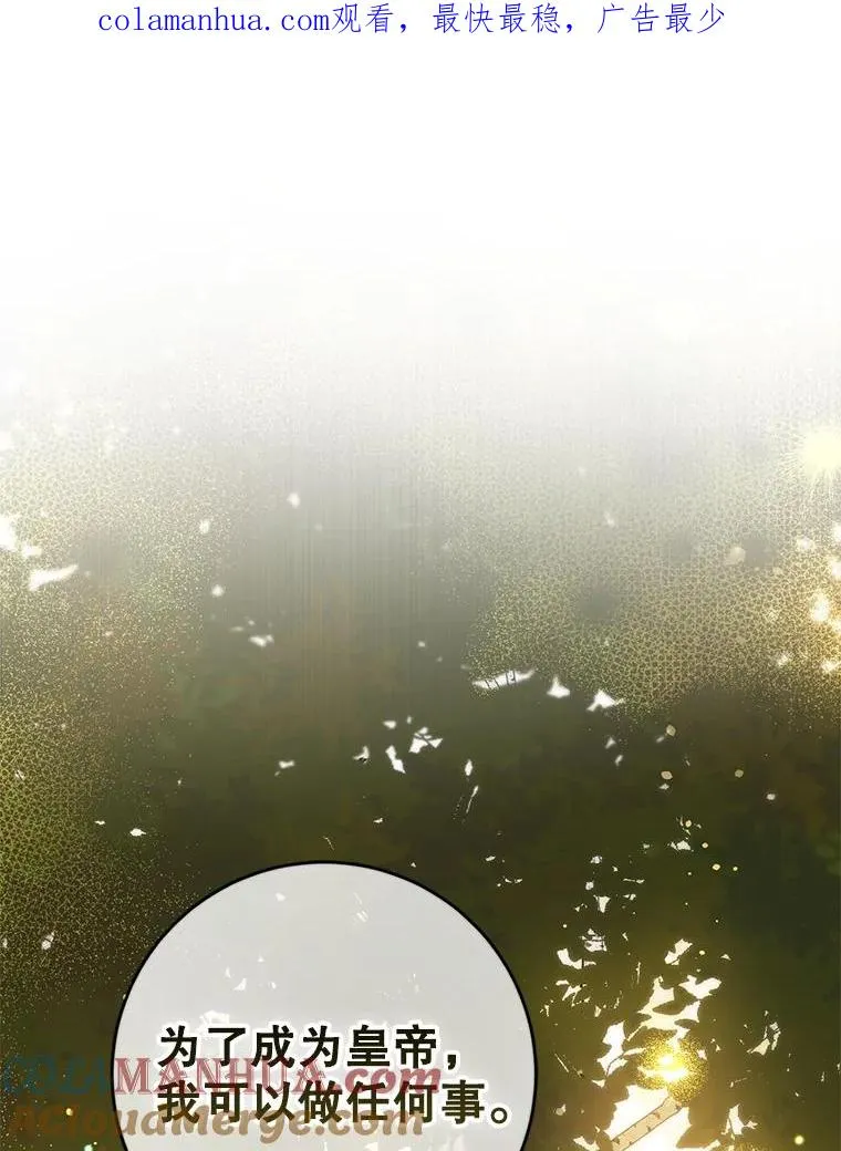 68.郁金香的花语 第1页
