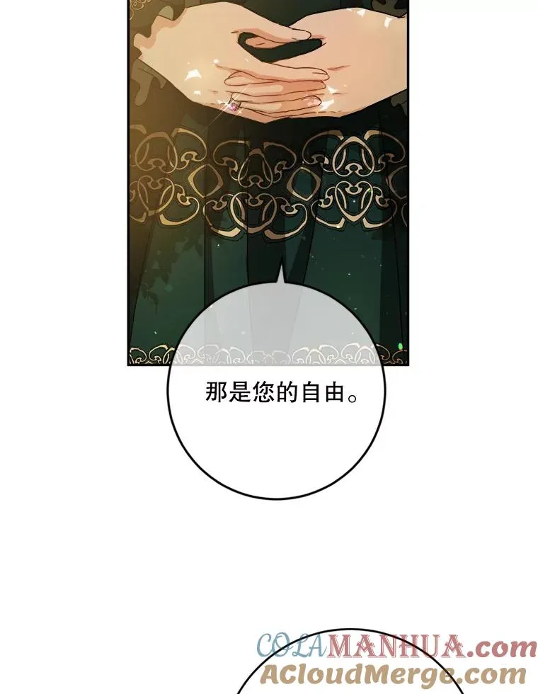 68.郁金香的花语 第13页