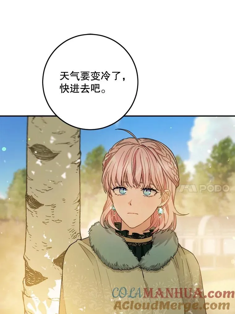 68.郁金香的花语 第17页
