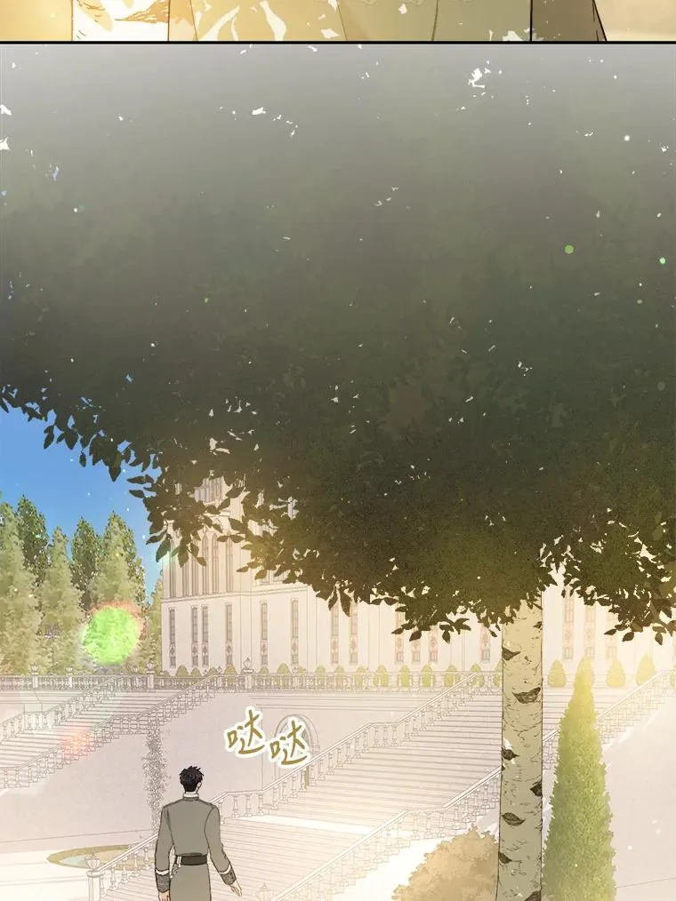 68.郁金香的花语 第18页