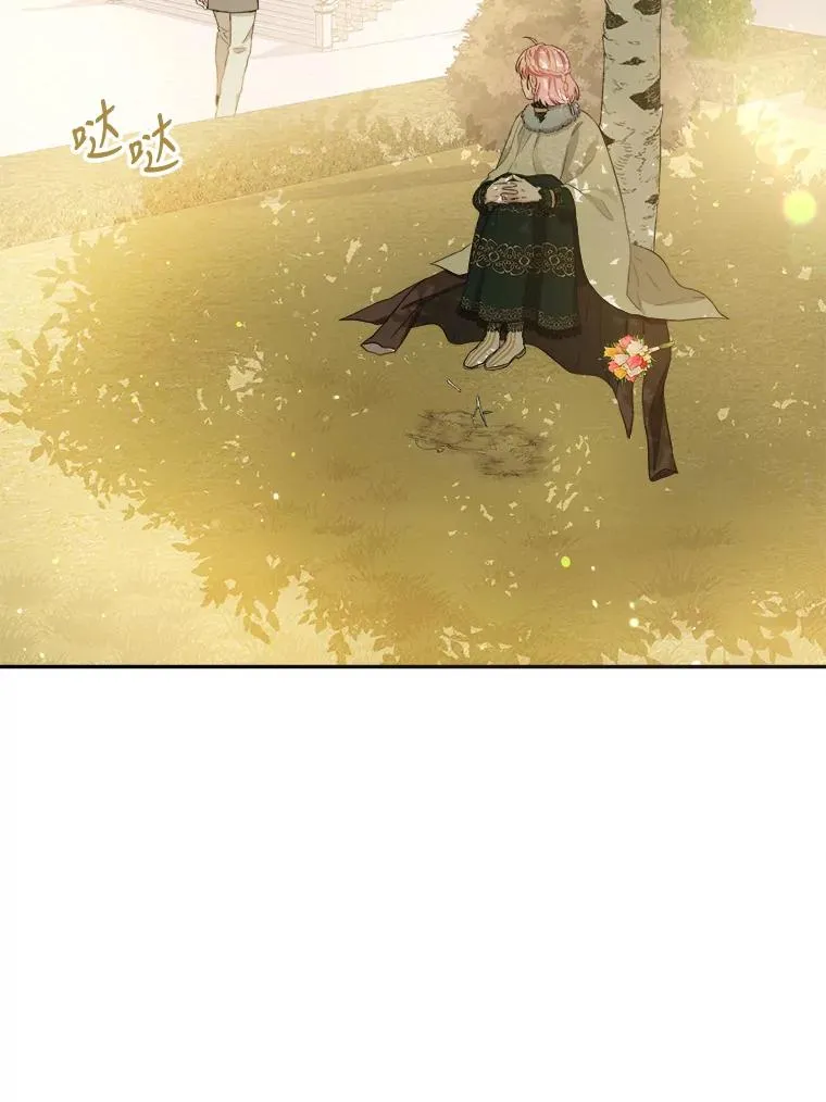 68.郁金香的花语 第19页