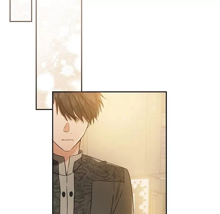 68.郁金香的花语 第26页