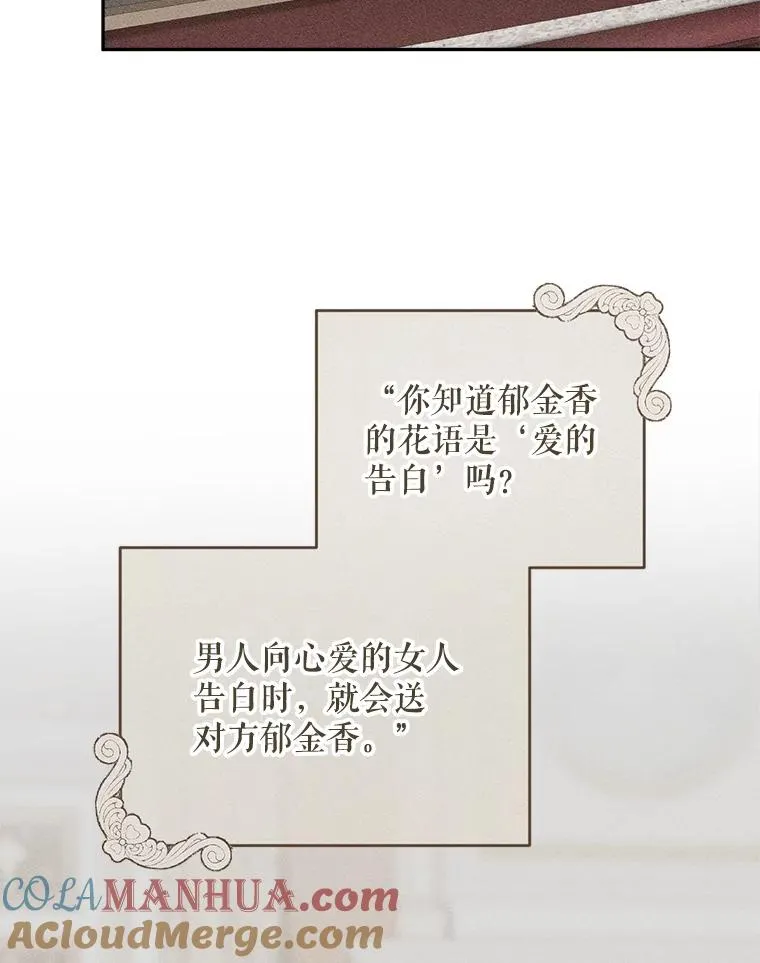 68.郁金香的花语 第29页