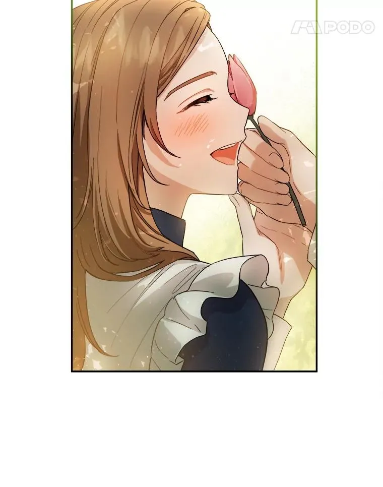 68.郁金香的花语 第39页
