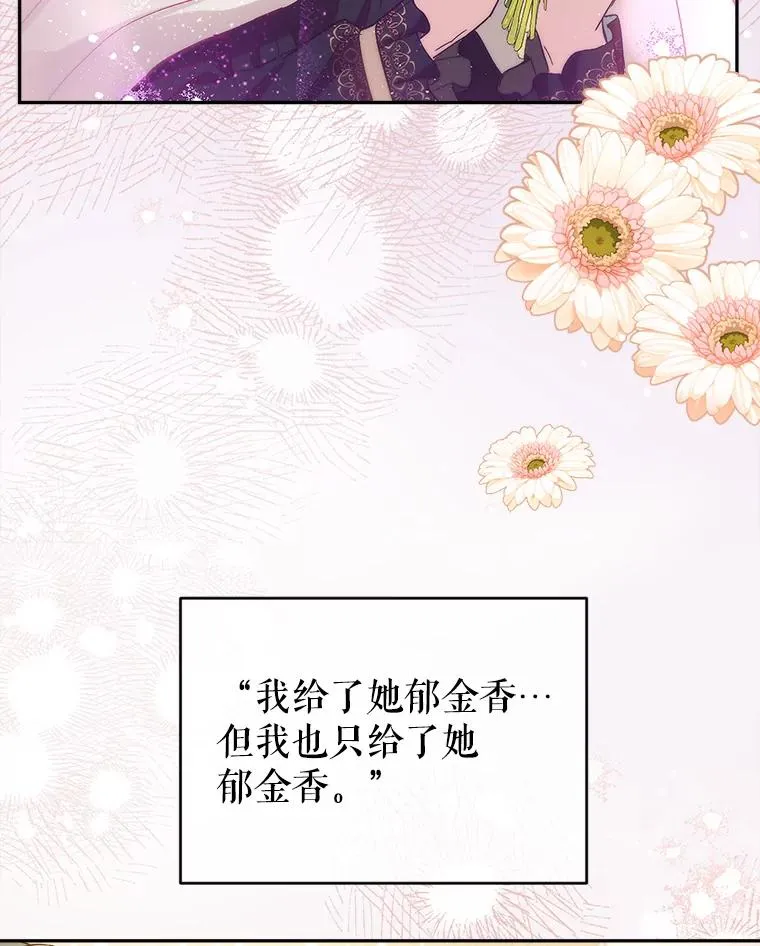 68.郁金香的花语 第46页