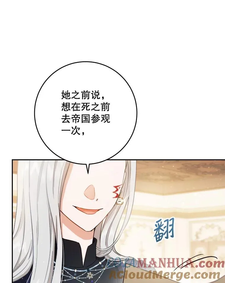 68.郁金香的花语 第97页