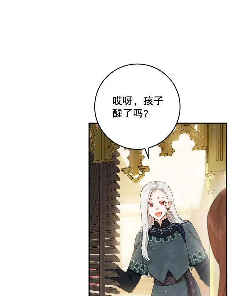 68.郁金香的花语 第100页