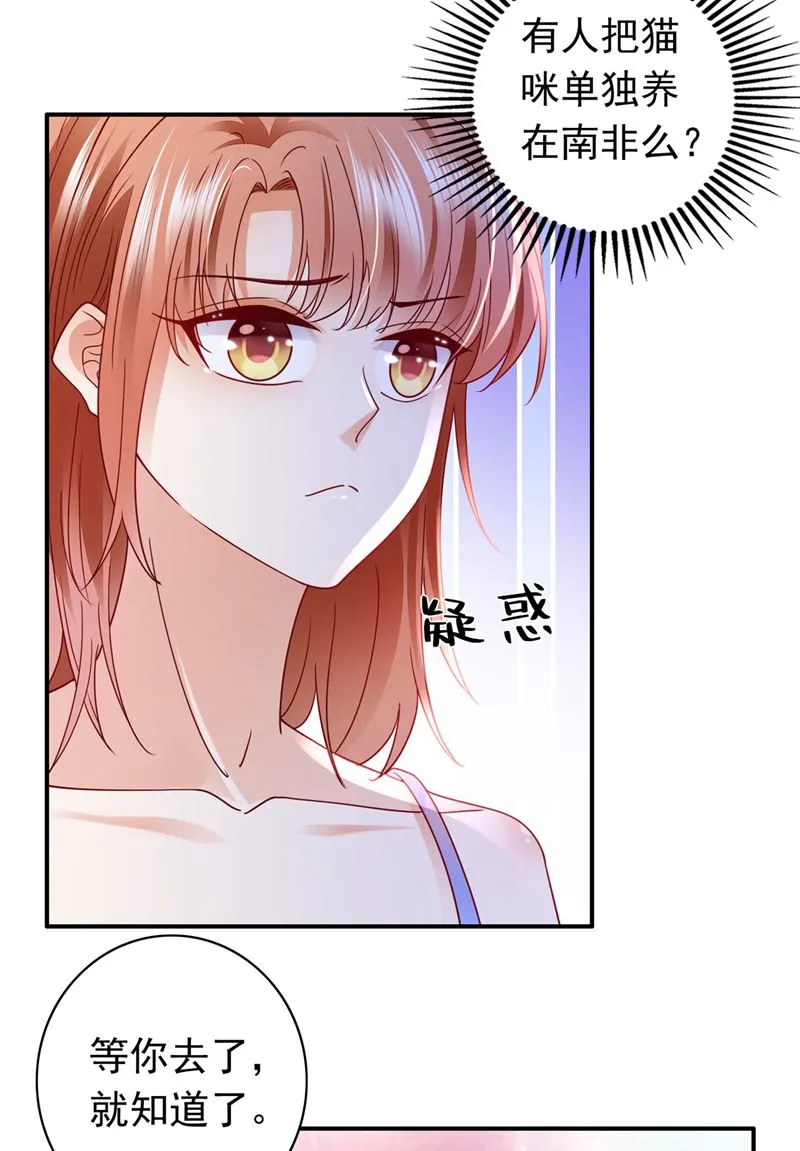 这是……大猫？！ 第26页