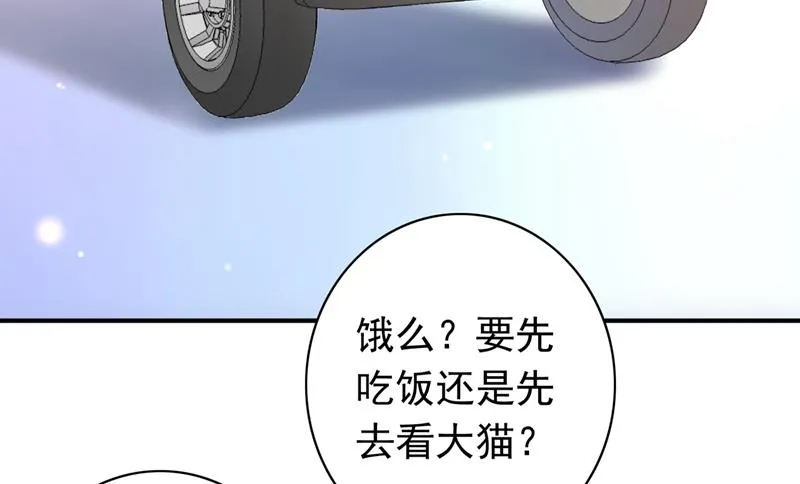 这是……大猫？！ 第36页