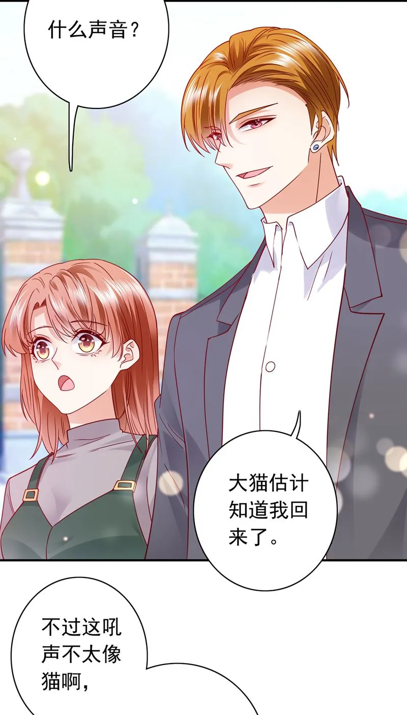 这是……大猫？！ 第43页