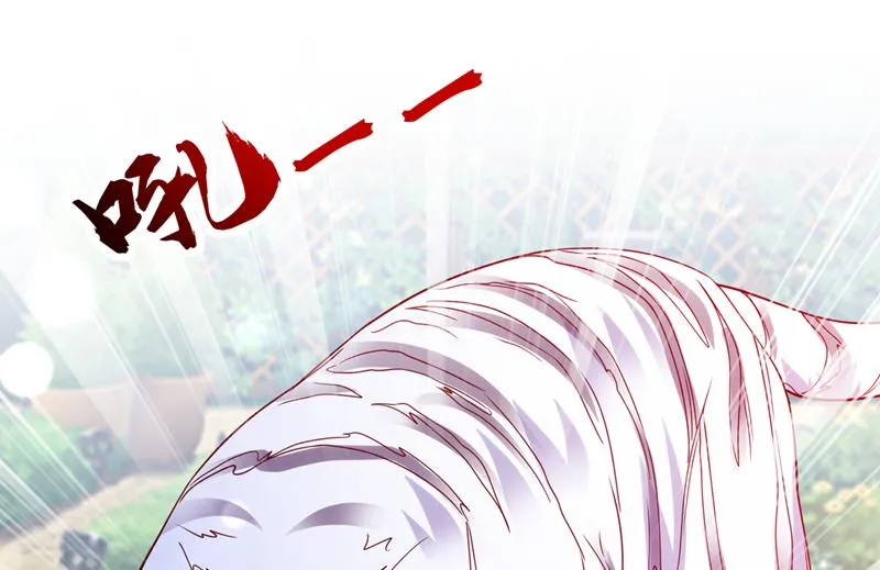 这是……大猫？！ 第47页