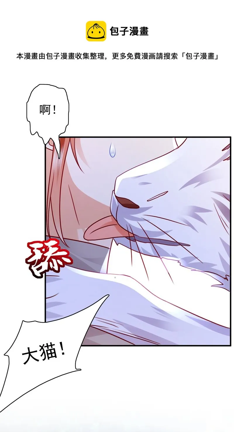 这是……大猫？！ 第56页