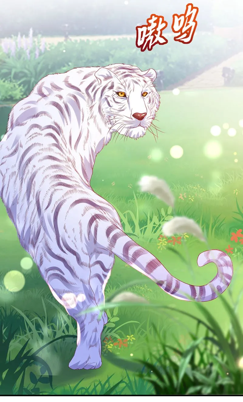 这是……大猫？！ 第57页