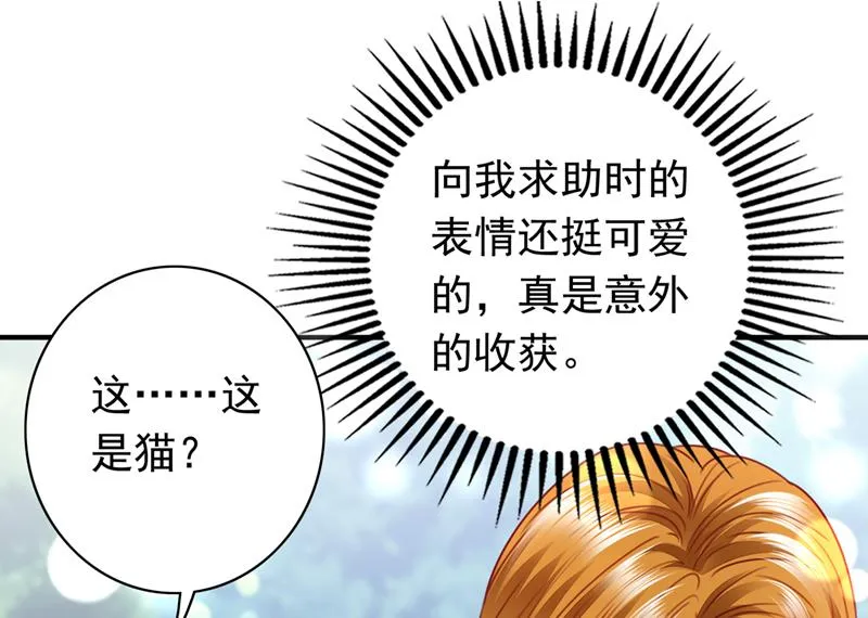 这是……大猫？！ 第58页