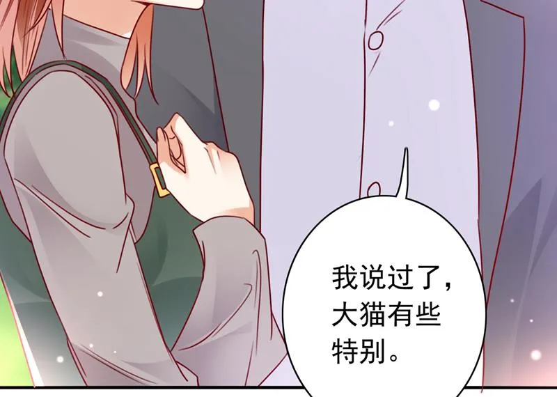 这是……大猫？！ 第60页