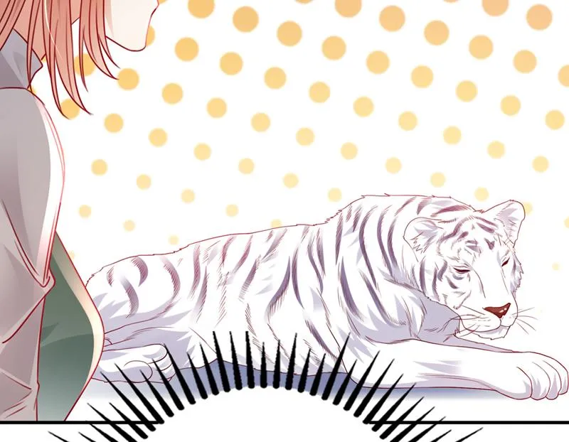 这是……大猫？！ 第62页