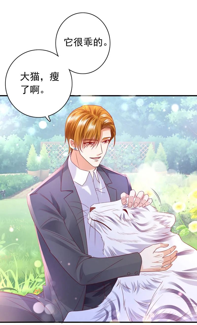 和我一起养大猫吧？ 第4页
