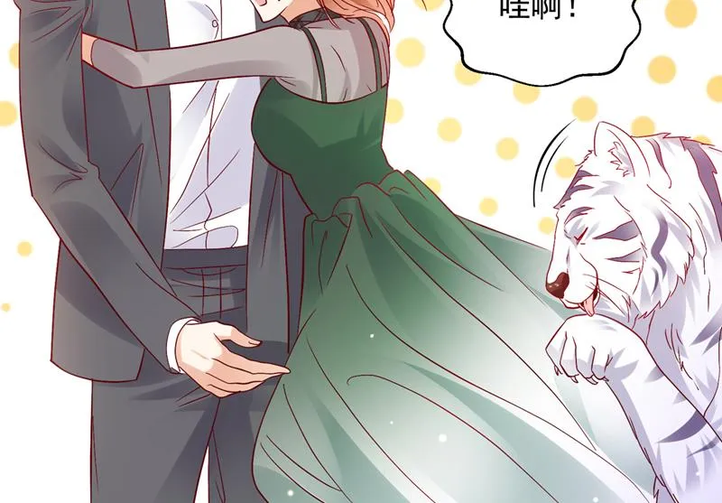和我一起养大猫吧？ 第20页