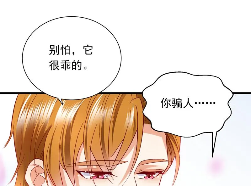 和我一起养大猫吧？ 第22页