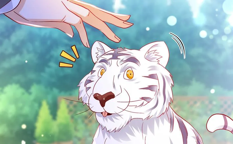 和我一起养大猫吧？ 第26页