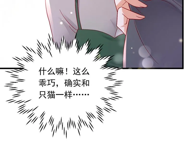 和我一起养大猫吧？ 第33页