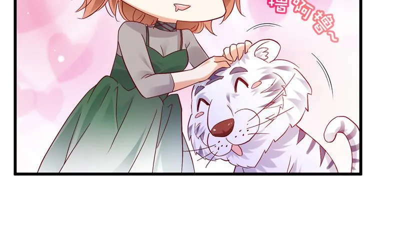 和我一起养大猫吧？ 第39页