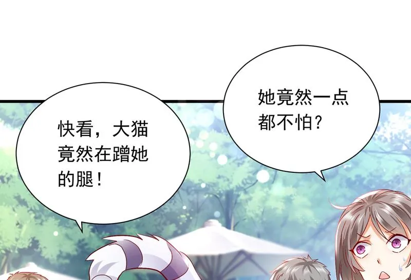 和我一起养大猫吧？ 第40页