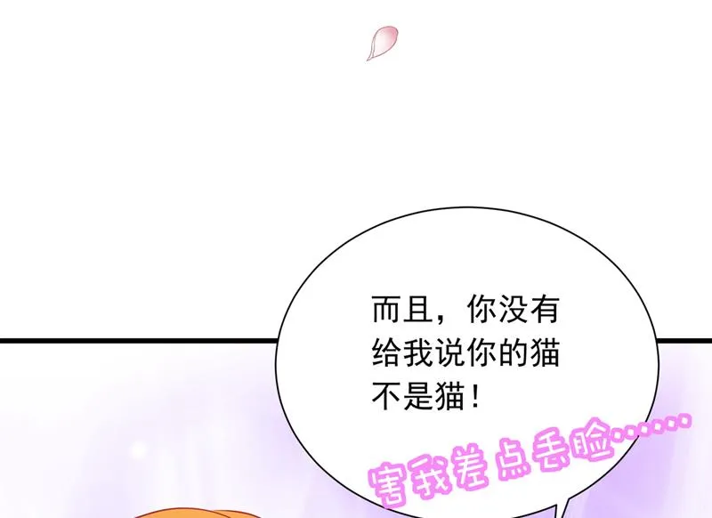 和我一起养大猫吧？ 第49页