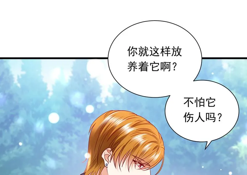和我一起养大猫吧？ 第53页