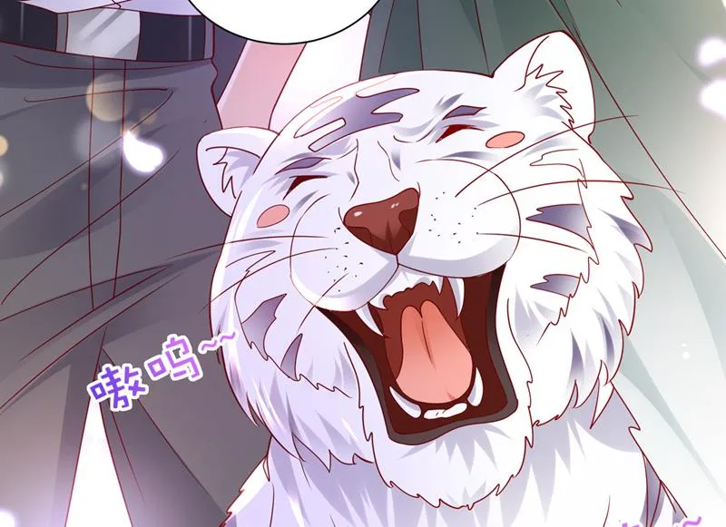 和我一起养大猫吧？ 第67页