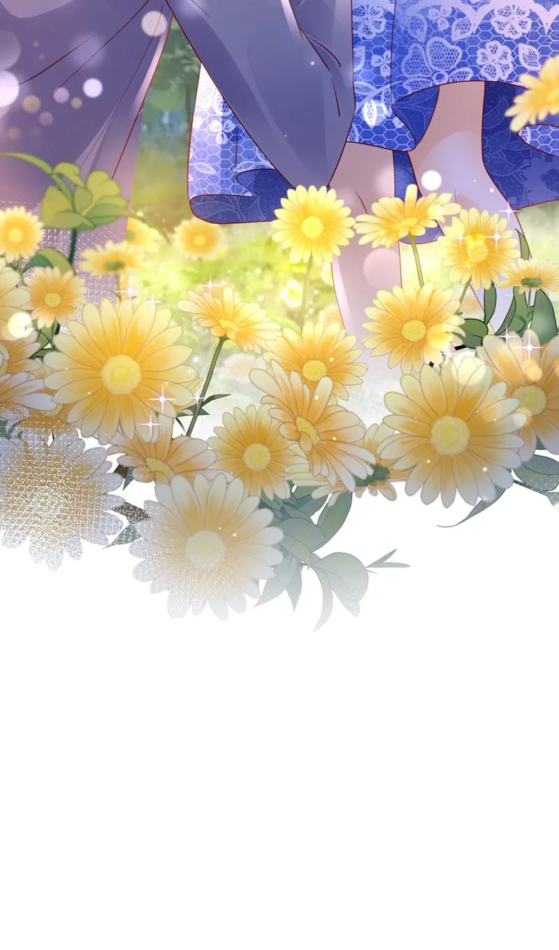 笙笙，嫁给我吧 第67页