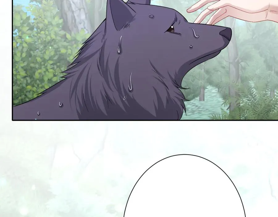 第54话 她的心思 第70页