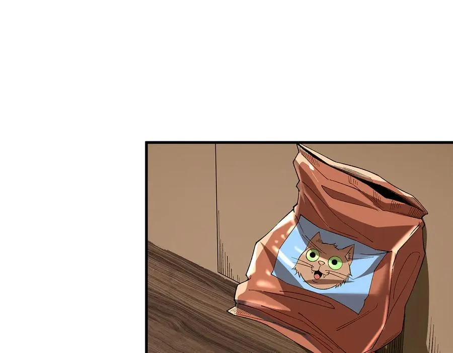 17 第19页