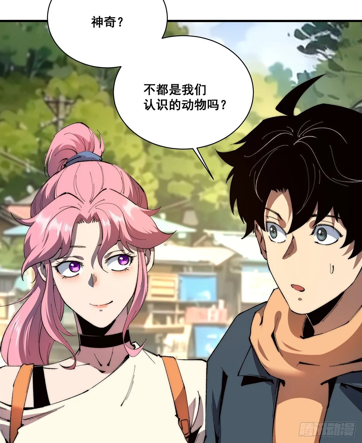 25 第8页
