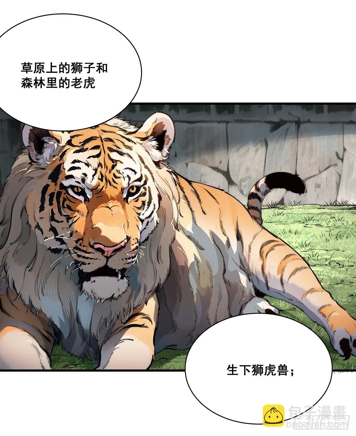 25 第11页