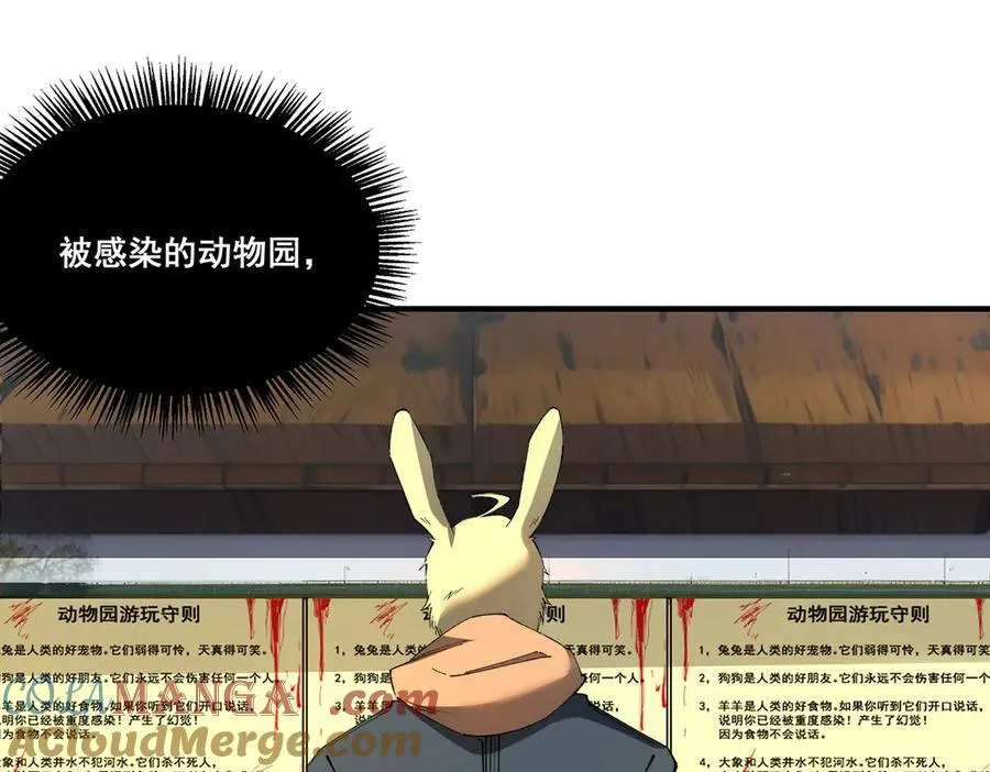 26 第5页